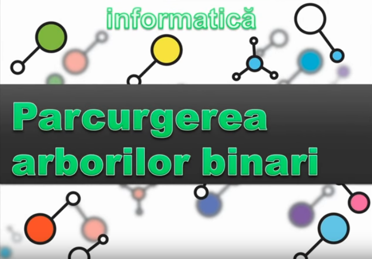 video1
